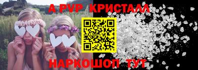 сатива Кингисепп