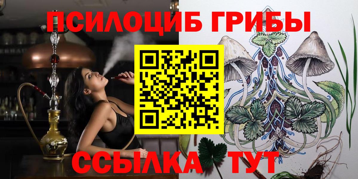 даркнет сайт  Вход с VPN  Псилоцибиновые грибы GOLDEN TEACHER  Кострома  Галлюциногенные грибы Magic Shrooms 